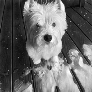 Meet your Posher, Gail